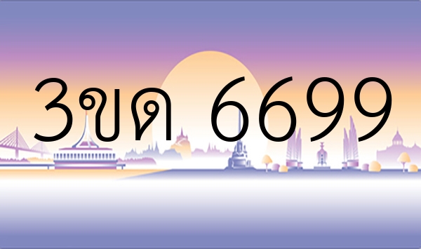 3ขด 6699